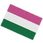 Tapete Capacho Divertido Lgbtqia+ Bandeira Queer Gênero