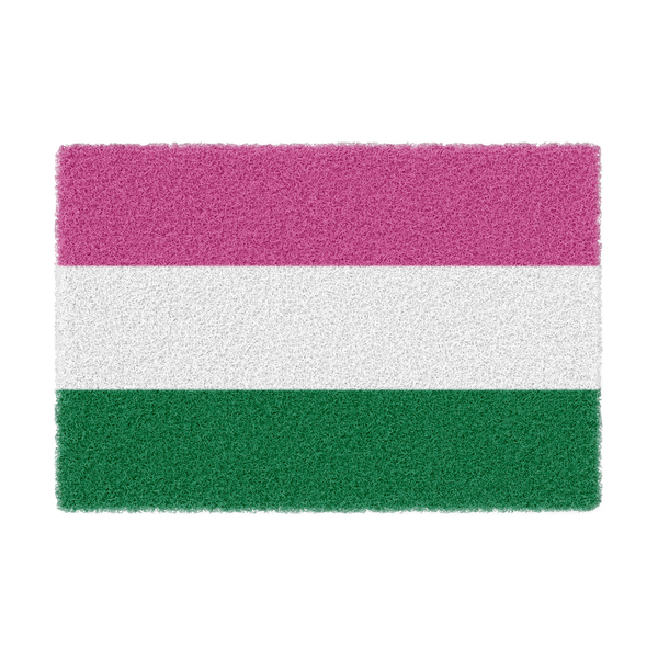 Tapete Capacho Divertido Lgbtqia+ Bandeira Queer Gênero
