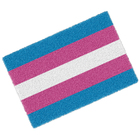 Tapete Capacho Divertido Lgbtqia+ Bandeira Transexual