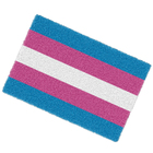 Tapete Capacho Divertido Lgbtqia+ Bandeira Transexual