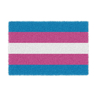 Tapete Capacho Divertido Lgbtqia+ Bandeira Transexual