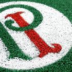 Tapete Capacho - Esportes Palmeiras Palestra