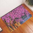 Tapete Capacho Personalizado Divertido Jardim De Rosas