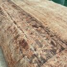 Tapete Casa Meva Indian Botanical 200x140cm