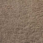 Tapete Classic P/ Sala/quarto 200x300 Oásis Trigo