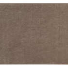 Tapete Classic P/ Sala/quarto 200x300 Oásis Trigo