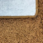 Tapete Clemant 100x150 Ouro