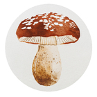 Tapete Cogumelo PVC Bege Internas 1,00x1,20cm