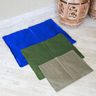 Tapete Colchonete Gelado Pet Grande Retangular 66x50cm Refres