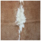 Tapete Couro De Vaca Inteira