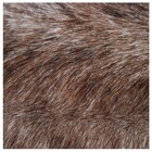 Tapete Couro De Vaca Inteiro