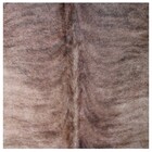 Tapete Couro De Vaca Inteiro