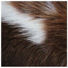 Tapete Couro Legitimo Bovino