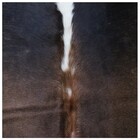 Tapete Couro Legitimo Bovino