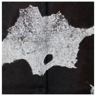 Tapete Couro Legitimo Bovino