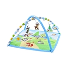 Tapete De Atividades Bebê Com Luz Musical Florest Maxi Baby