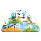 Tapete De Atividades Bebê Ginásio Luz E Som Farm Tiny Love