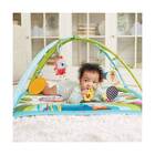 Tapete De Atividades Musical P/ Bebê Meadow Days - Tiny Love