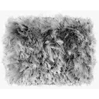 Tapete De Quarto  Festina Felpudo 1,00mx1,40m Cinza Casen