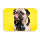 Tapete Decorativo Emborrachado Pug - 60x40 Cm
