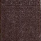 Tapete Felpudo Lunar Meteoro 2,50x3,00m - São Carlos