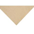 Tapete Felpudo Pluma Bege 1,40x2,00m Edantex