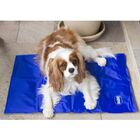Tapete Gelado Para Pet Até 34kg Chalesco Cooling Mat Azul