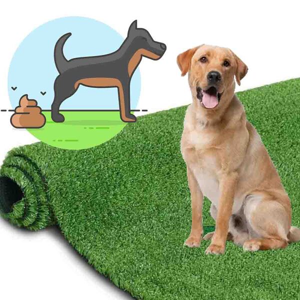 Tapete Higienico Grama Sintetico Cachorro Gramado Sanitario 1 Metro ...