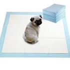 Tapete Higiênico Pet Descartável Training Extra Grande 80 Un