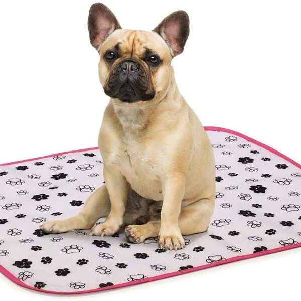 Tapete Higiênico Sanitário Para Cães E Gatos Pets Pp