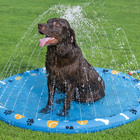 TAPETE INFLÁVEL FUN PET