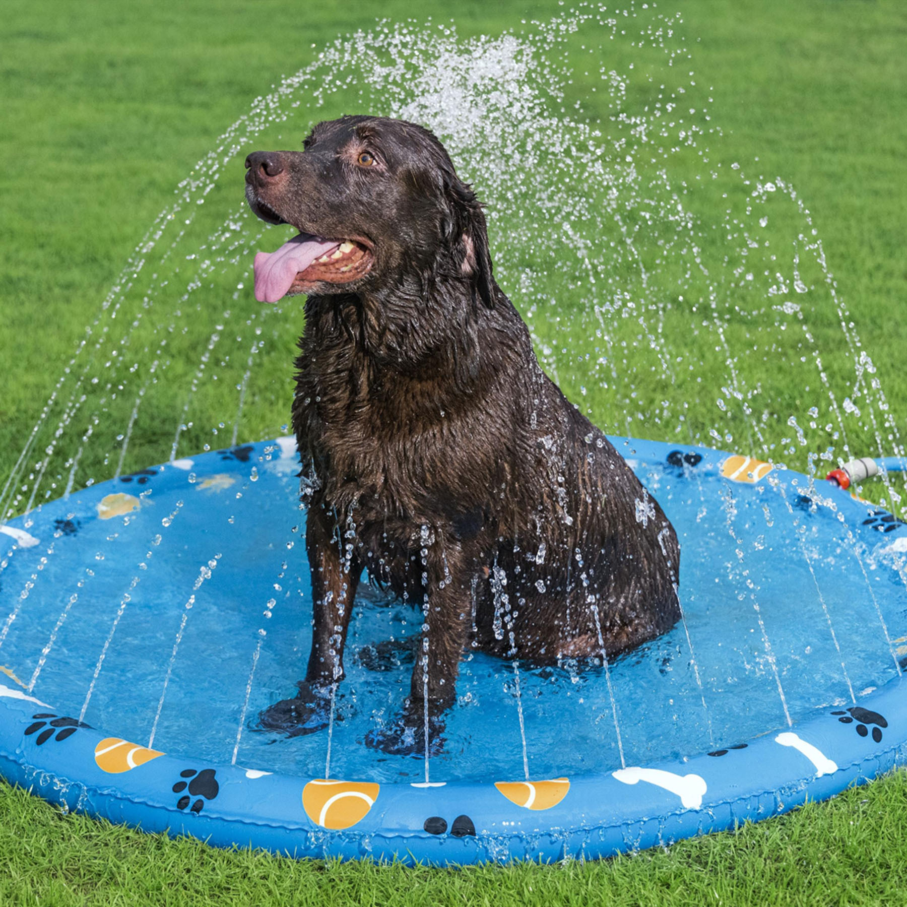 Tapete para Cachorro Inflável Fun Pet Azul 147cm Bestway