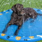 TAPETE INFLÁVEL FUN PET