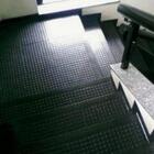 Tapete Laminado Moeda Pt 0,65 X 1,5 M