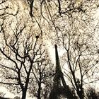 Tapete Marbella Elite Epic Art Eiffel Park 150x200 Cm