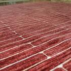 Tapete Marbella Nuance Miracle Bambu Rose 150x200 Cm