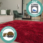 Tapete Para Sala Belos Pelos Antialérgico Retangular Diversas