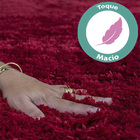 Tapete Para Sala Belos Pelos Antialérgico Retangular Diversas