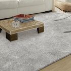 Tapete Para Sala De Estar Foffo 2 00x3 00 Platina G57 - Tapet