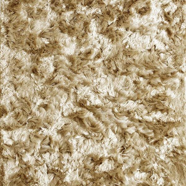 Tapete Para Sala De Estar Show 3 00x4 00 Valsa G57 - Tapetes