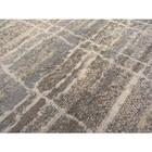 Tapete Para Sala Herat Capri 5602-em1 Bege 1,50x2,00m - São C