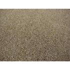 Tapete Para Sala Lumiere N Areia 3,00x4,00 São Carlos