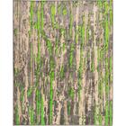 Tapete Para Sala New Look Savana 2,00x2,90 São Carlos