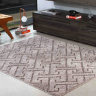 Tapete Para Sala Oásis Jazz 100x150  Com Relevo Estampa: des