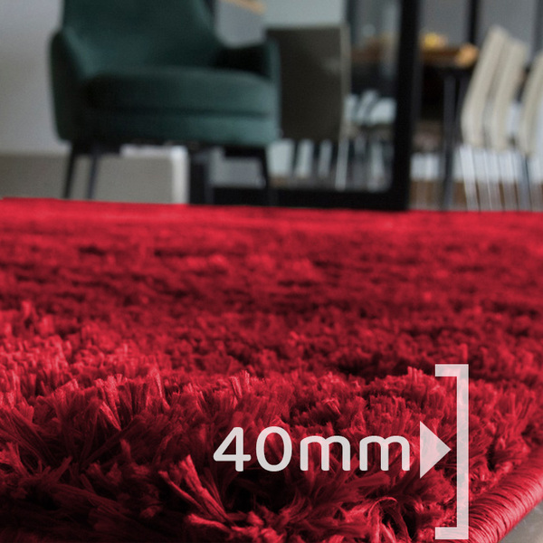 Tapete Para Sala Pelo Peludo Retangular 300x200cm Casen Verme