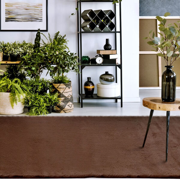 Tapete Para Sala-quarto Aconchego 04 50x80 Castor Felpudo 790