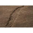 Tapete Para Sala Realce Falesia 03 Creme Cotton 1,00x1,50m -