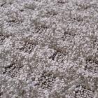 Tapete Para Sala Realce Spot 32 Verde-fendi 2,50x3,00m - J Se