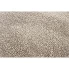 Tapete Para Sala Relex N Areia 4,00x5,00 São Carlos