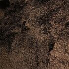 Tapete Peludo Gold Cor 1 Marrom 2,50X3,00M - Edantex